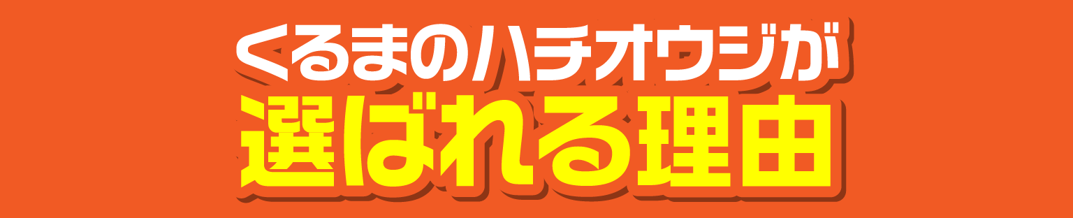 ハチオウジが選ばれる理由